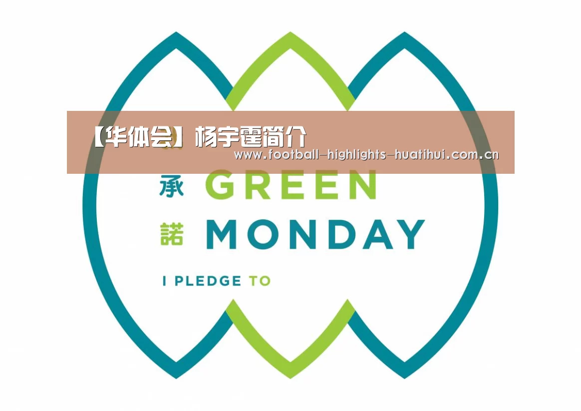 【华体会】杨宇霆简介(图4) 华体会