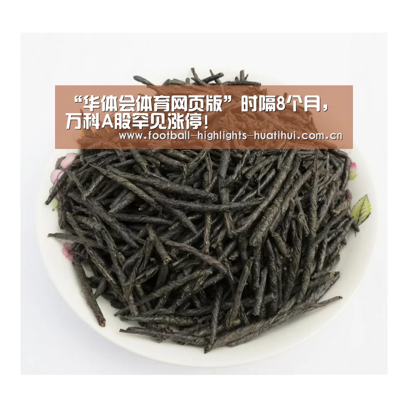 华体会体育官方在线
