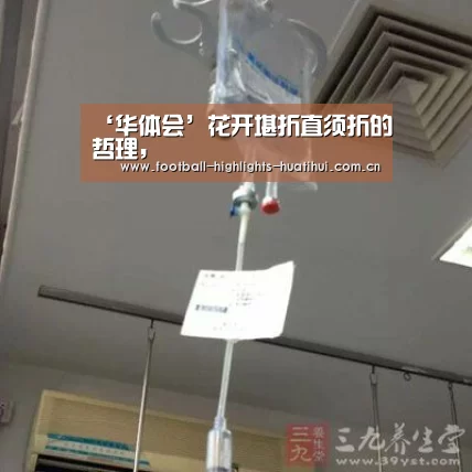 华体会体育网页版