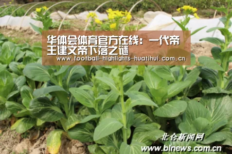 华体会体育官方在线